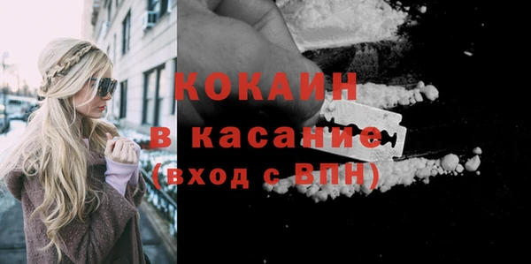 шишки Богородицк
