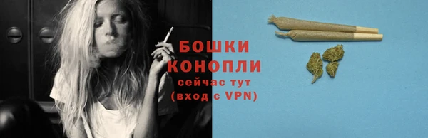 шишки Богородицк