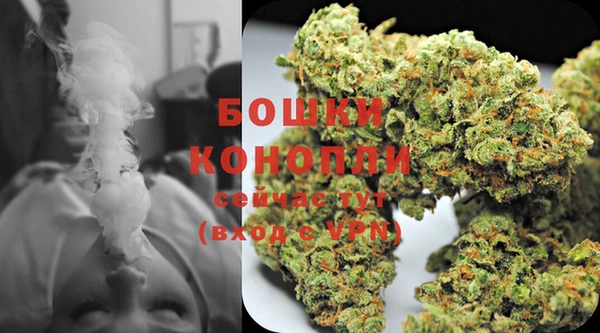 шишки Богородицк