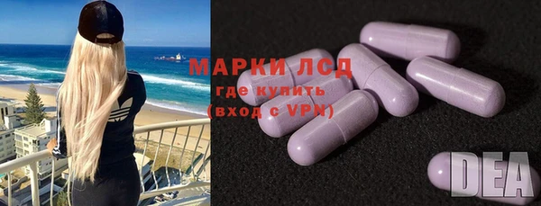 шишки Богородицк