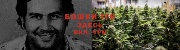 шишки Богородицк